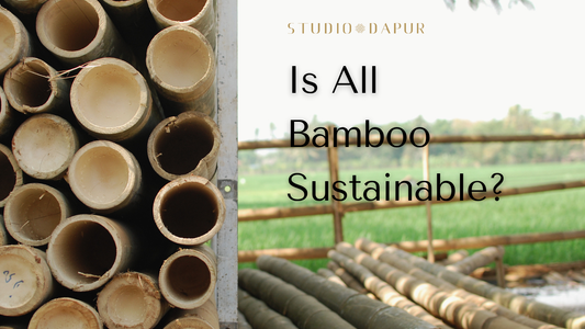 Is All Bamboo Sustainable? A Closer Look from Studio Dapur